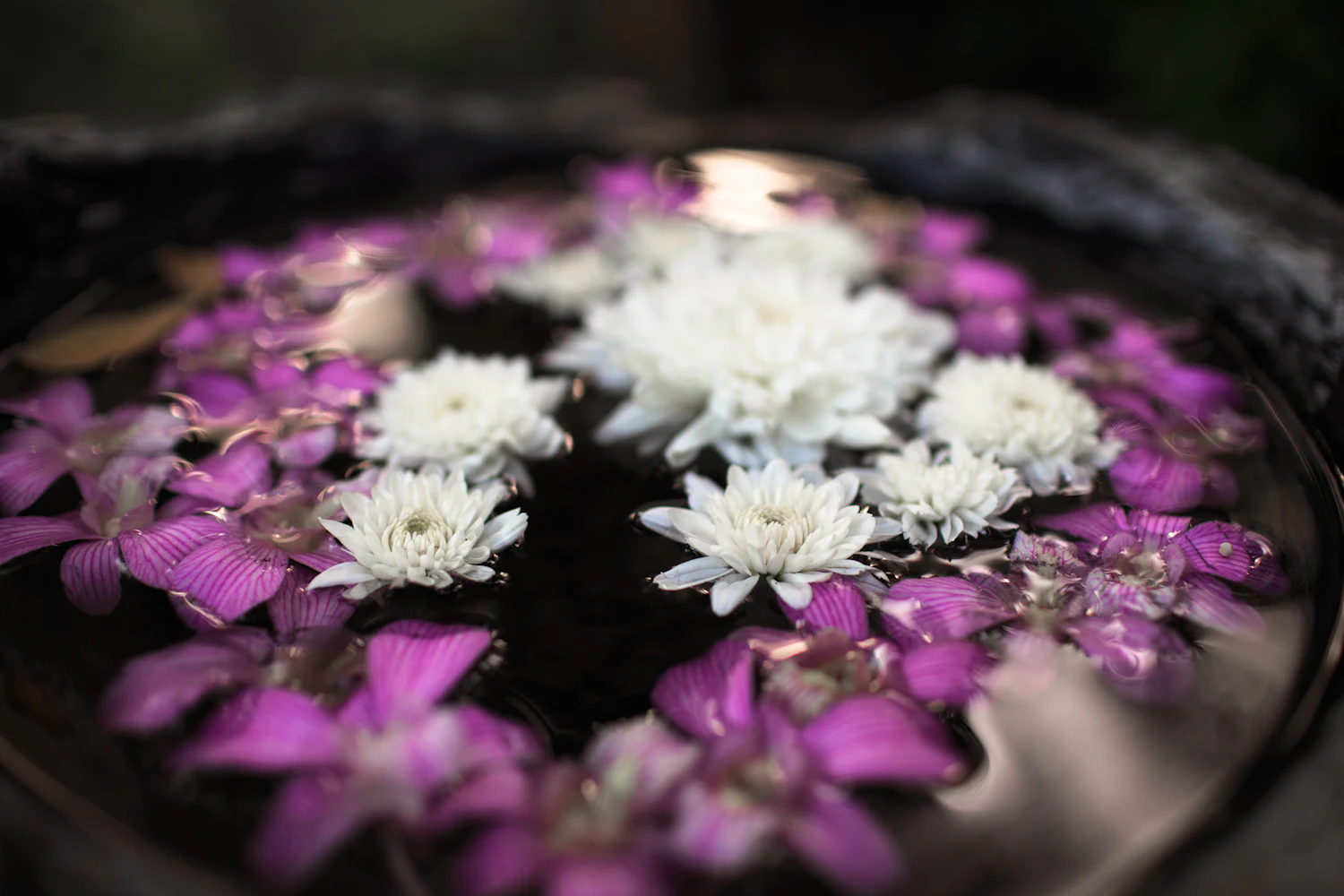 Flowers floating in a Thai spa bowl