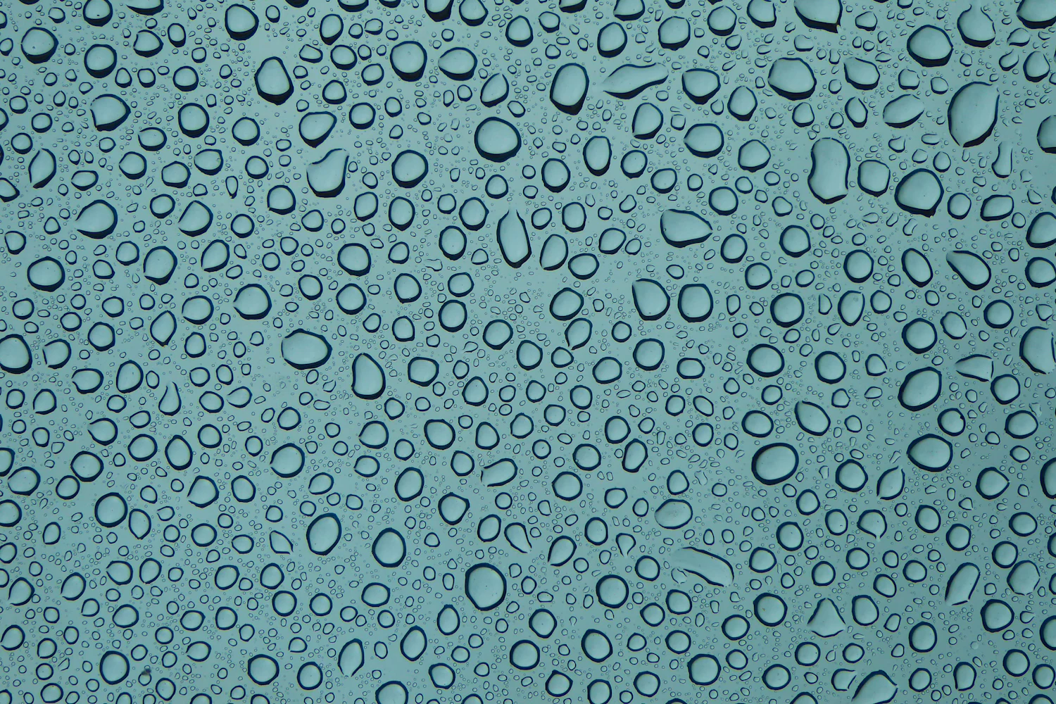 Droplets of water — hydration in close-up